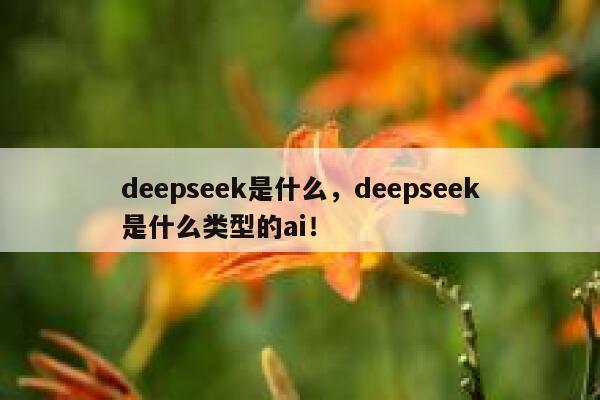 deepseek是什么，deepseek是什么类型的ai！ 第1张