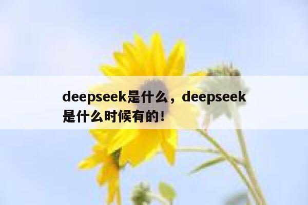 deepseek是什么,deepseek是什么时候有的! 第1张 deepseek是什么,deepseek是什么时候有的! 第1张
